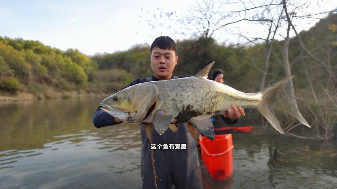 包下深山裡的老魚塘，塘裡竟然有這麼多大貨#搞笑 #撈底 #fishing