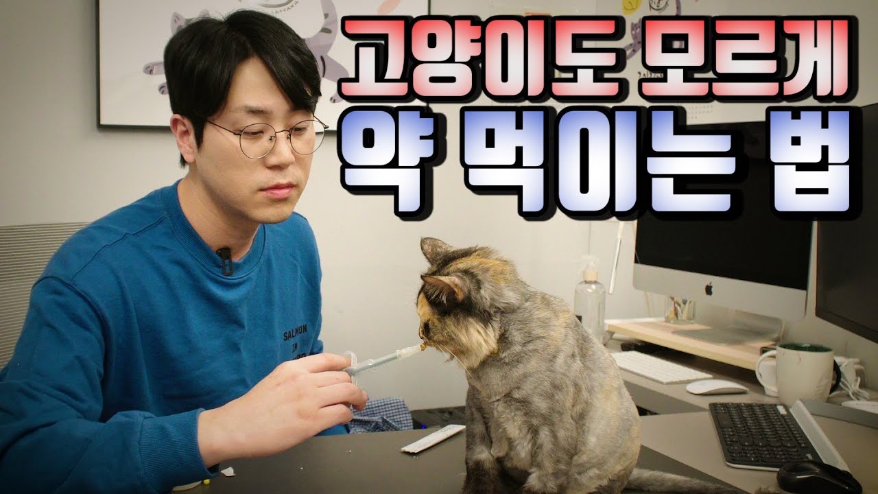 [ENG SUB] 고양이 약 먹이기 참 ~ 쉽죠잉?