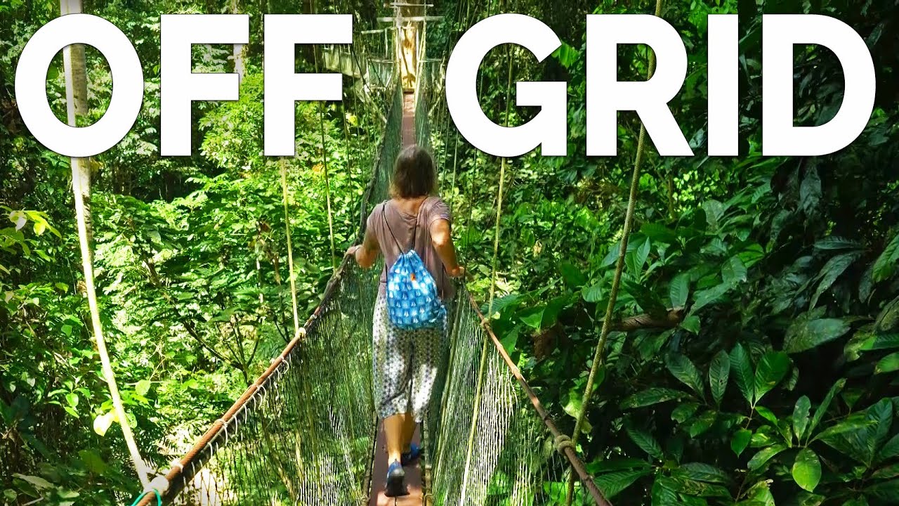 Jungle walking - Gunung Mulu National Park - Ep 189