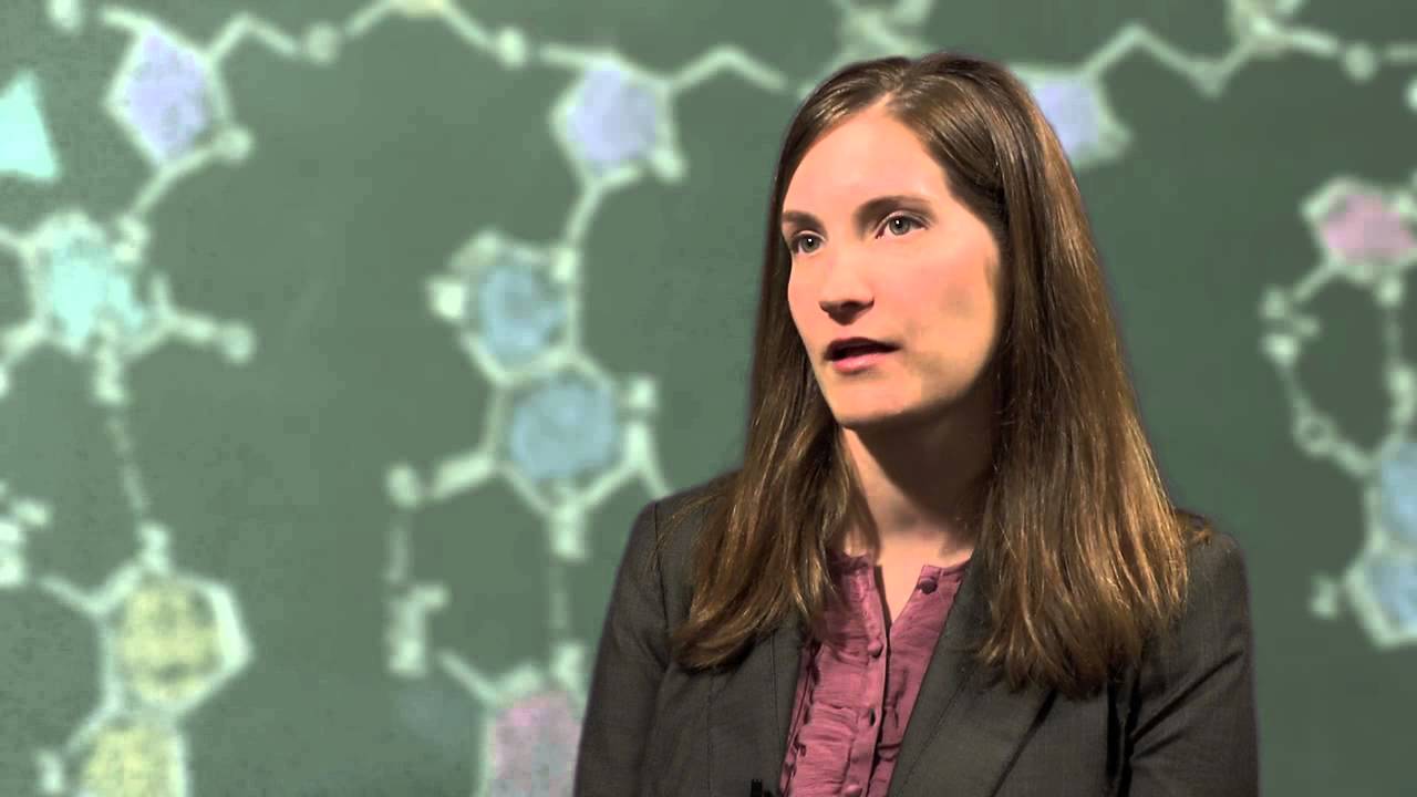 Genetics and Genomics for Health Care and Society (N563)