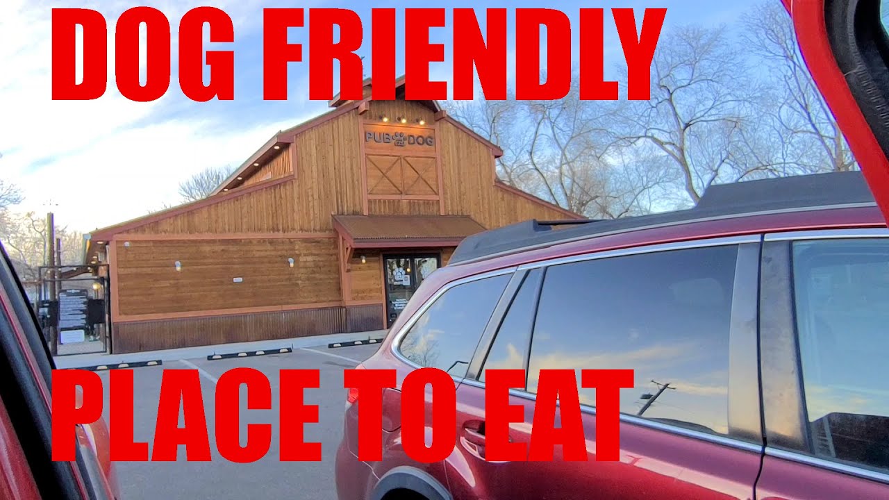 Pub Dog: Dog Friendly Places Colorado Springs