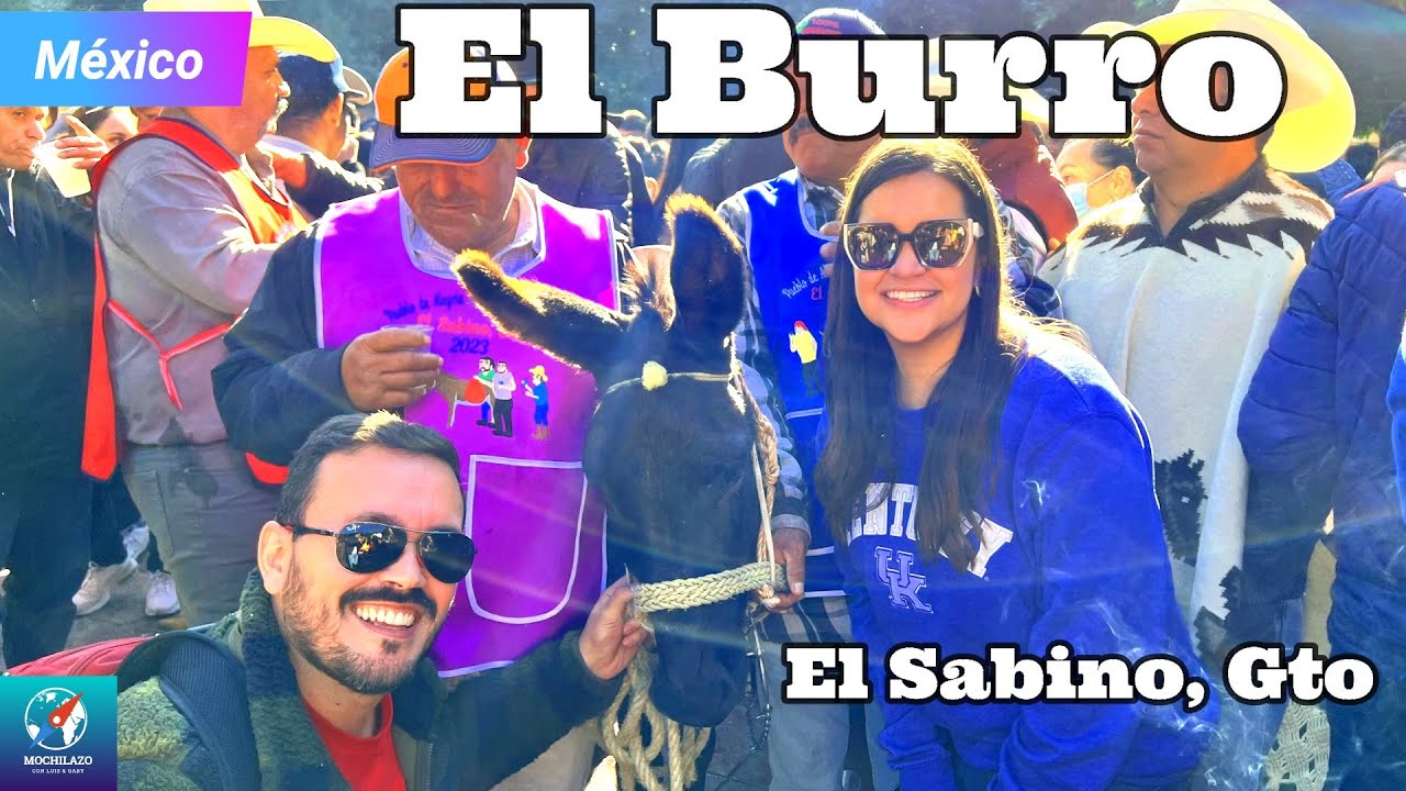 EL BURRO El Sabino, Gto 2023 | La Alborada de la Fiesta de Enero | #MEXICO