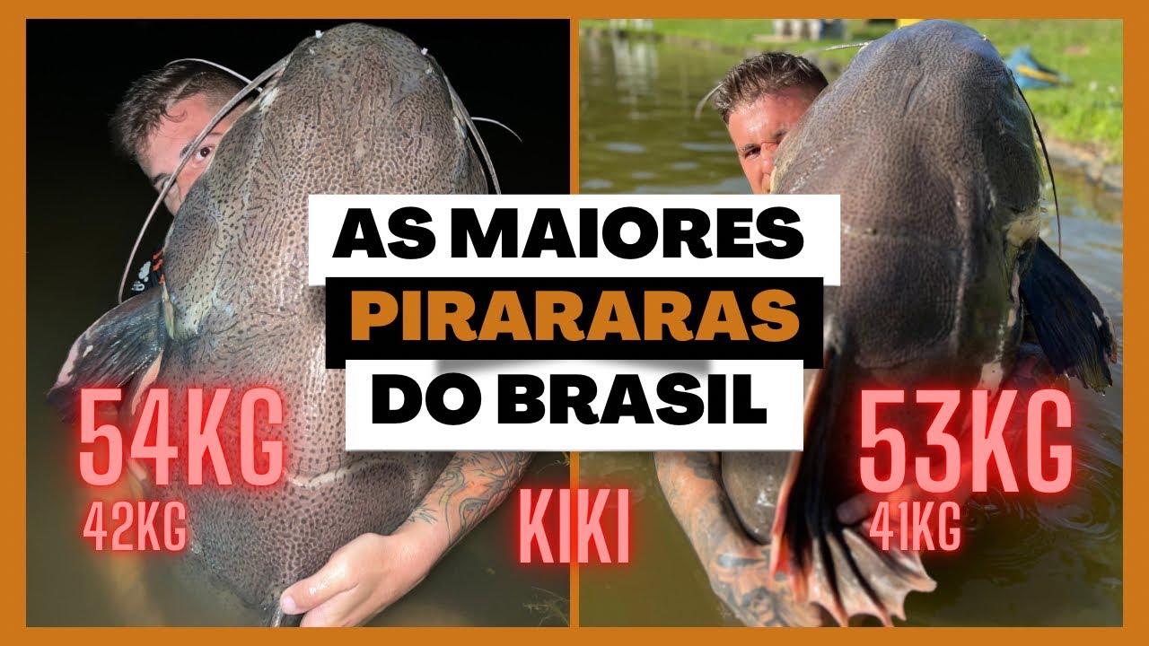 AS MAIORES PIRARARAS DO BRASIL MORAM NESSE LUGAR/ PESCARIA DOS SONHOS/ S&Oacute; GIGANTE