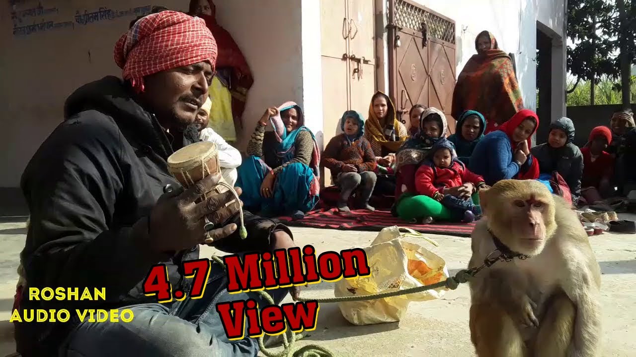 2-बंगाली जादूगर || बन्दर बंदरिया का खेल || कमाल का खेल Bandar Bandriya Ka Khel || रोशन ओडियो विडियो