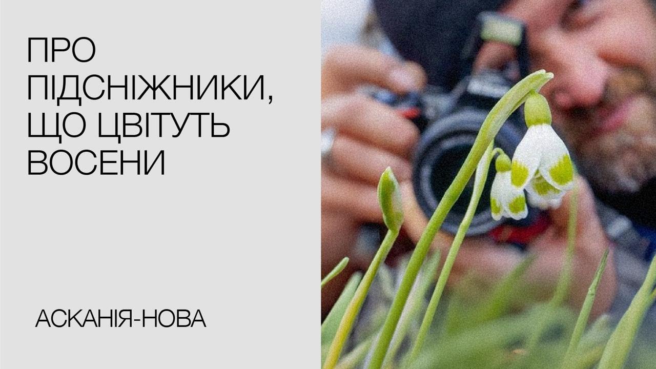 Руслан Мішустін про осінньоквітучі підсніжники