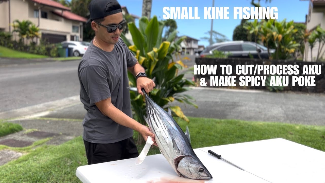 HOW TO CUT/PROCESS AKU (Skipjack Tuna) & SPICY AKU RECIPE