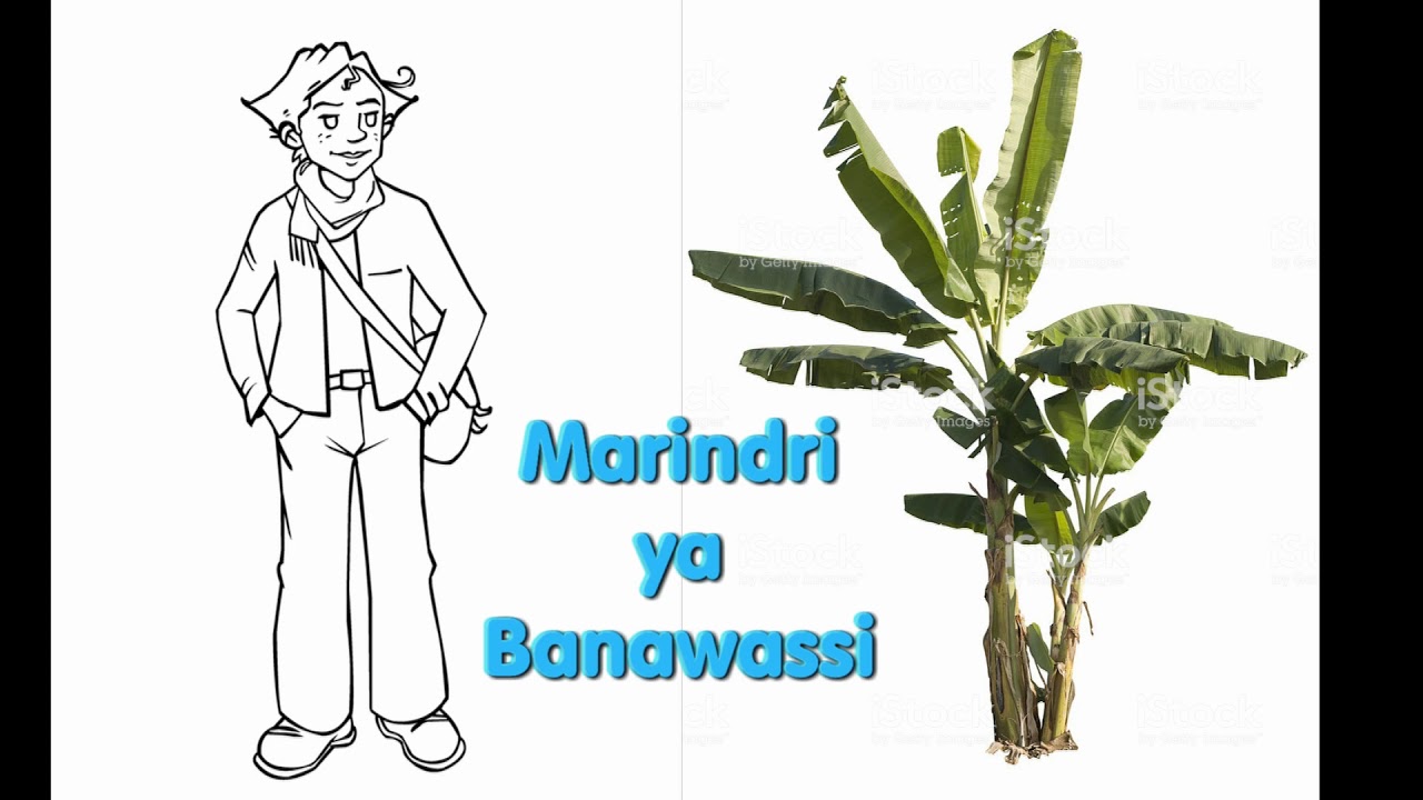 Banawassi - Marindri Ya M'colo Simba