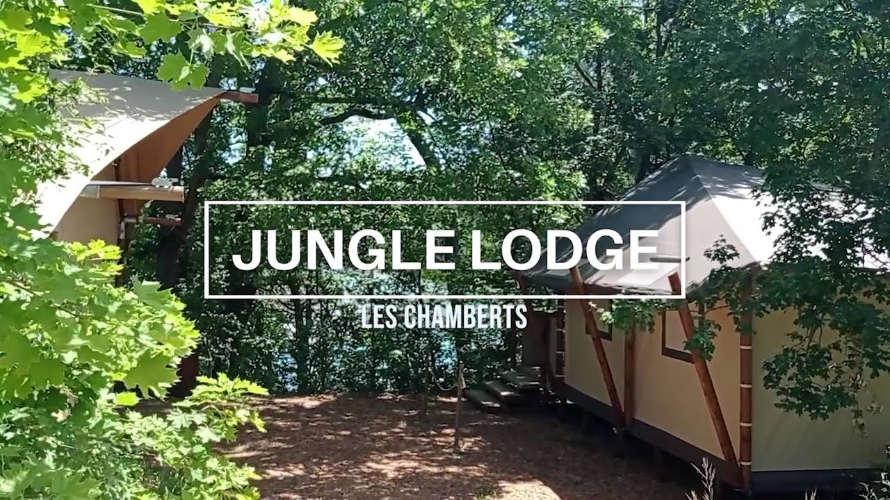 Jungle lodge 2