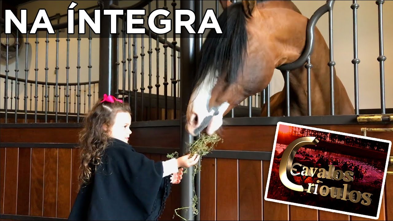 PROGRAMA na &Iacute;NTEGRA 20/09/2020