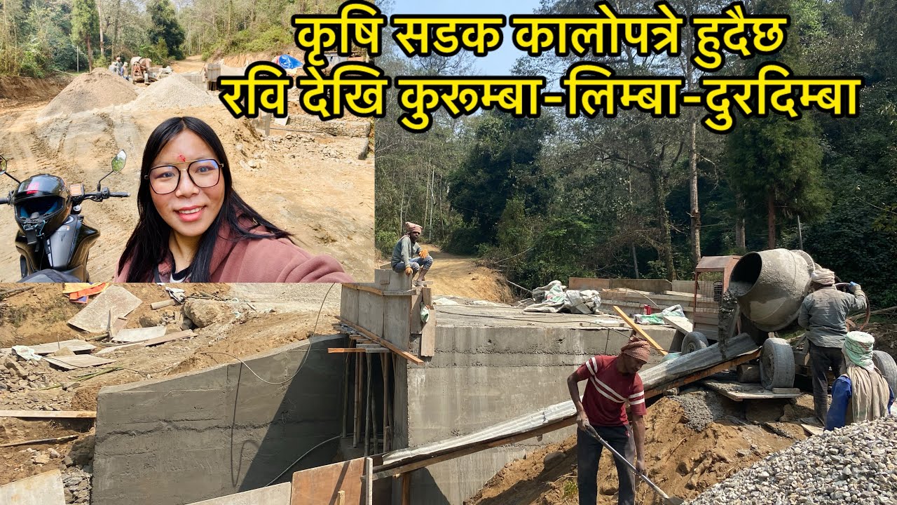 रवि देखि कुरूम्बा-लिम्बा-दुरदिम्बा कृषि सडक कालोपत्रे हुदैछ || Miklajung Gaupalika Panchthar Rabi 