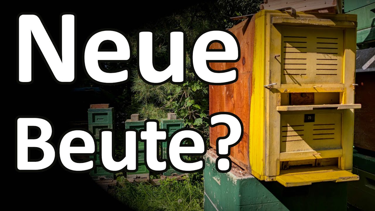 Bienen: Neue Beute, neues R&auml;hmchenma&szlig;? Was ist die Normbeute? DDR-Bienenkasten Kuntzsch Museumsst&uuml;ck