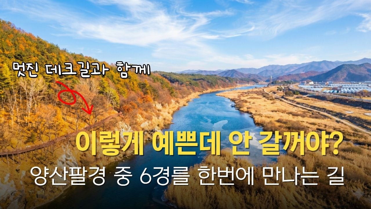 아름다운 강변의 양산팔경 중 6경을 한번에 만나는 길 #양산팔경 #영동 #둘레길 #송호관광지 #강선대