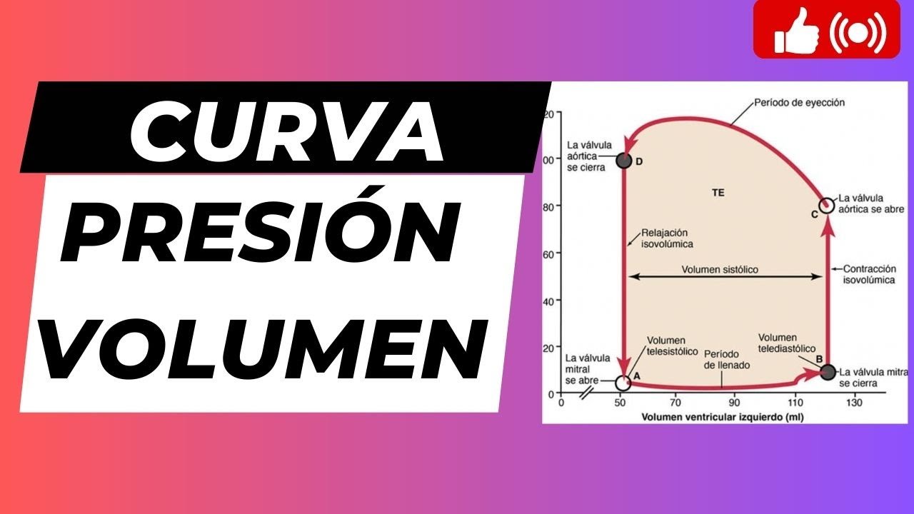 CURVA PRESION VOLUMEN DURANTE EL CICLO CARDIACO. LOOP PRESION VOLUMEN, ANALISIS COMPLETO