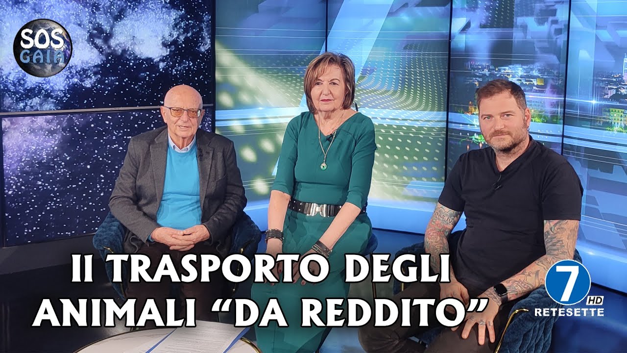 TRASPORTO DEGLI ANIMALI 