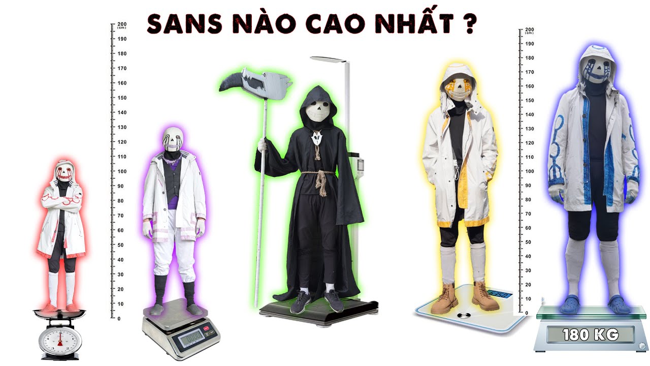 Tiết Lộ Chiều Cao Và Cân Nặng Thật Sự Của Các Sans