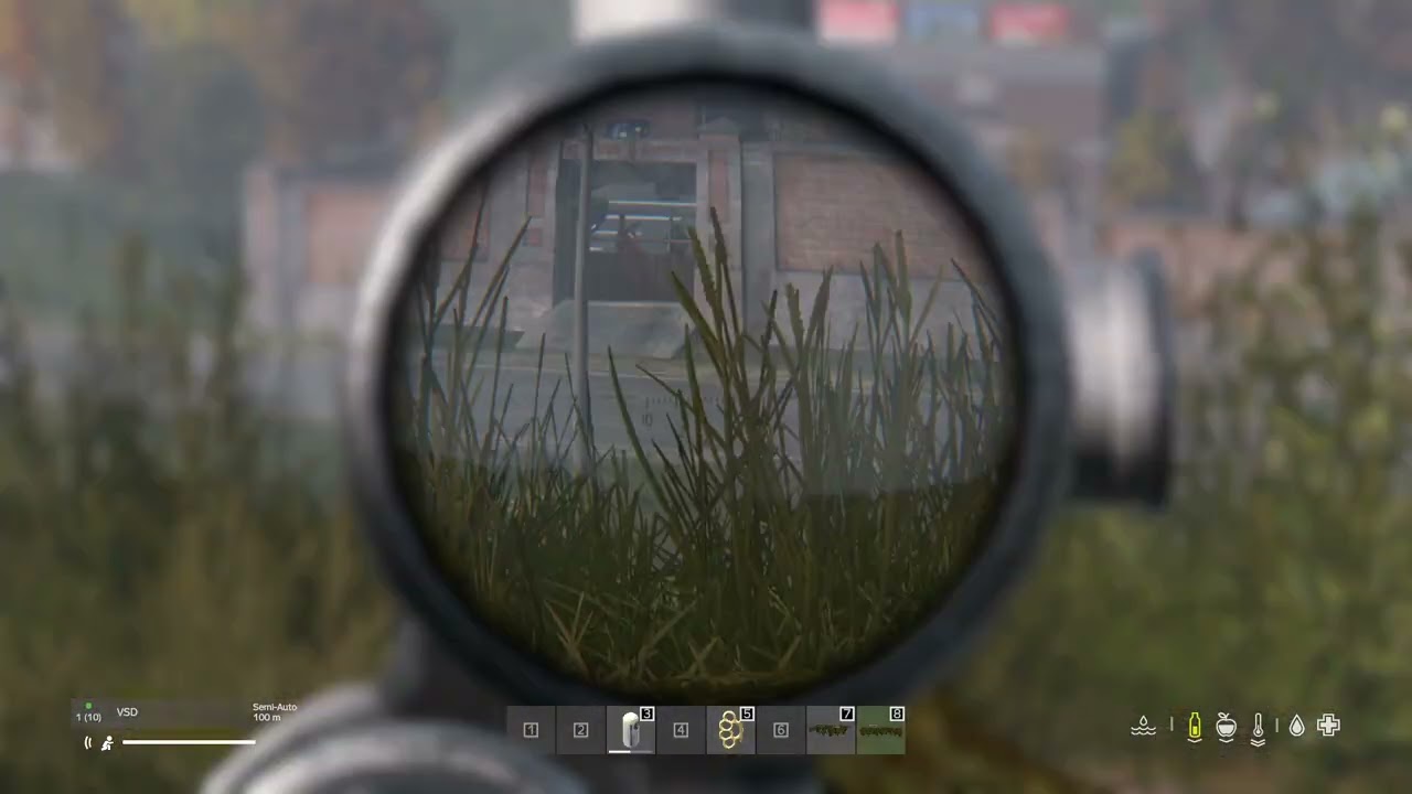 DayZ_20260305192057