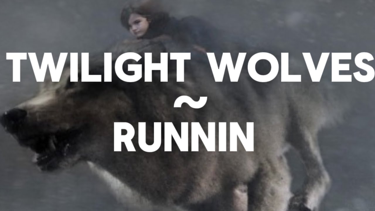 Twilight wolves- Runnin’