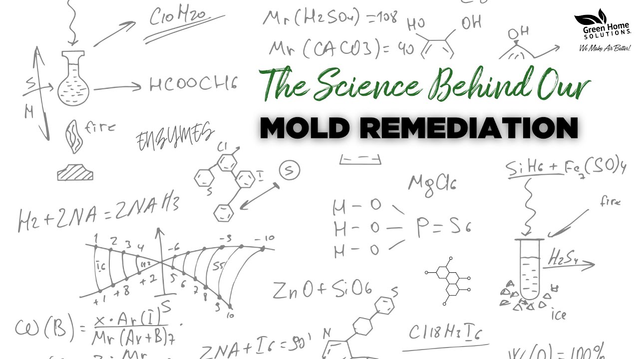 The Science of Mold Remediation with Green Home Solutions EPA-Registered Fungicide Disinfectant