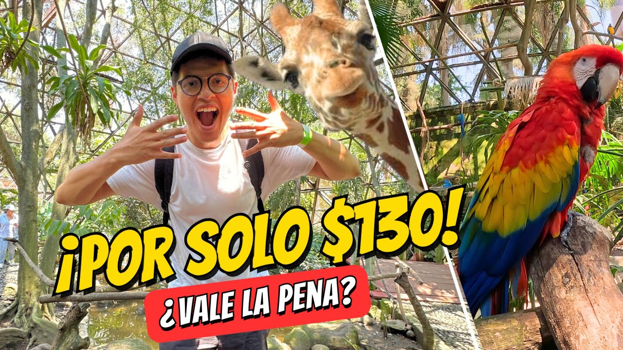 Así es el Zoológico de Guadalajara… Pagando la entrada MAS BARATA 🦁💸