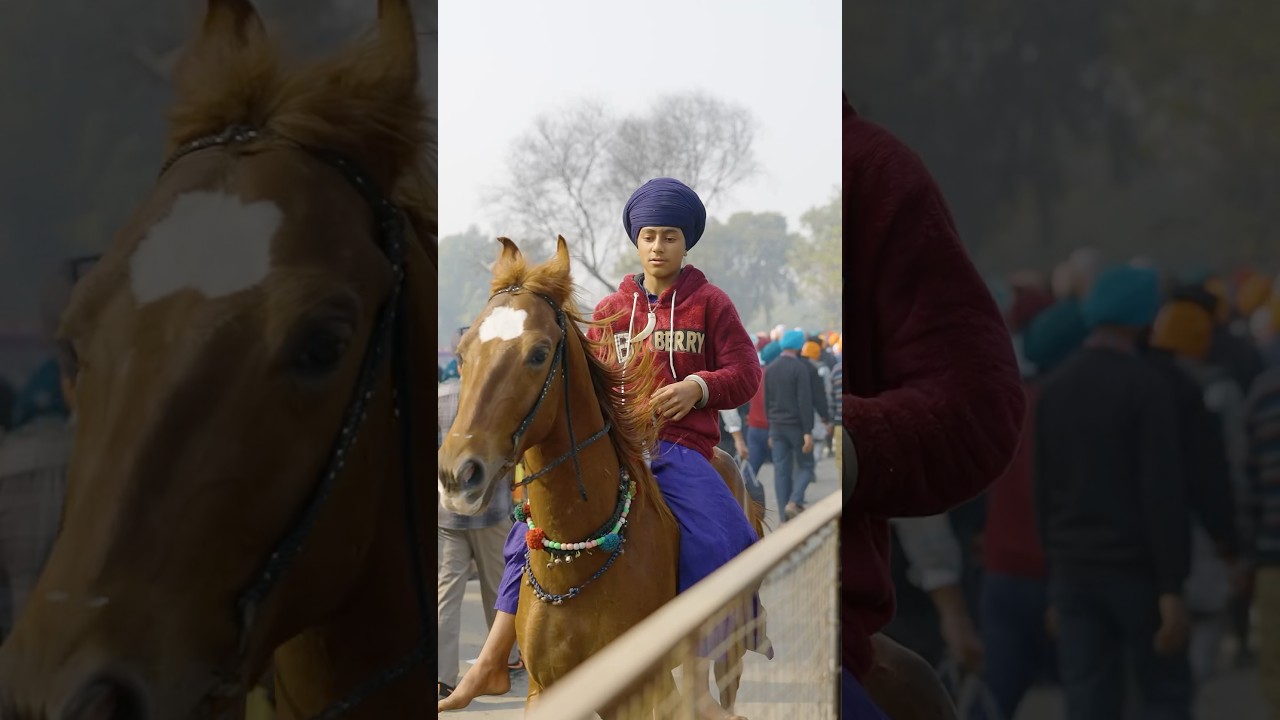 Nihang Sikhs lead a highly disciplined #nihang #sikh #panjab #sugatoproductions #india