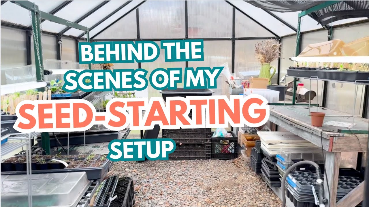 Behind the Scenes of My Seed-Starting Setup