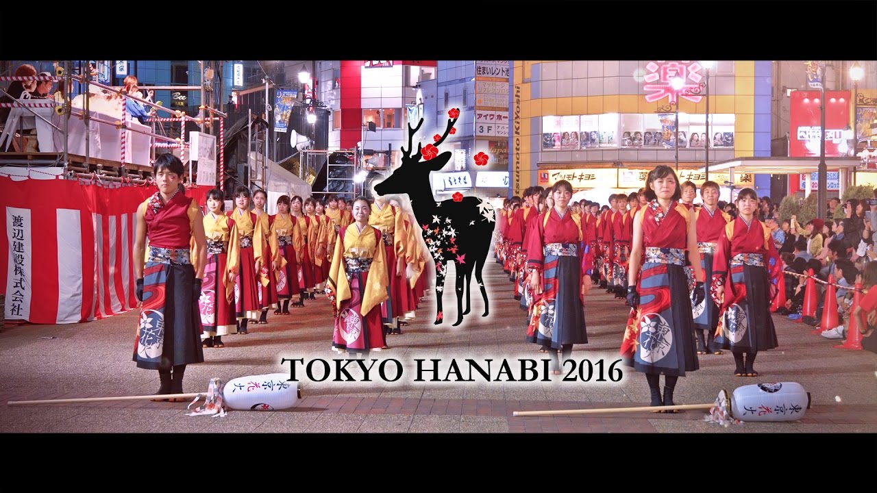 【8K】花かるた｜早稲田大学 東京花火１１代目（東京よさこい2016）