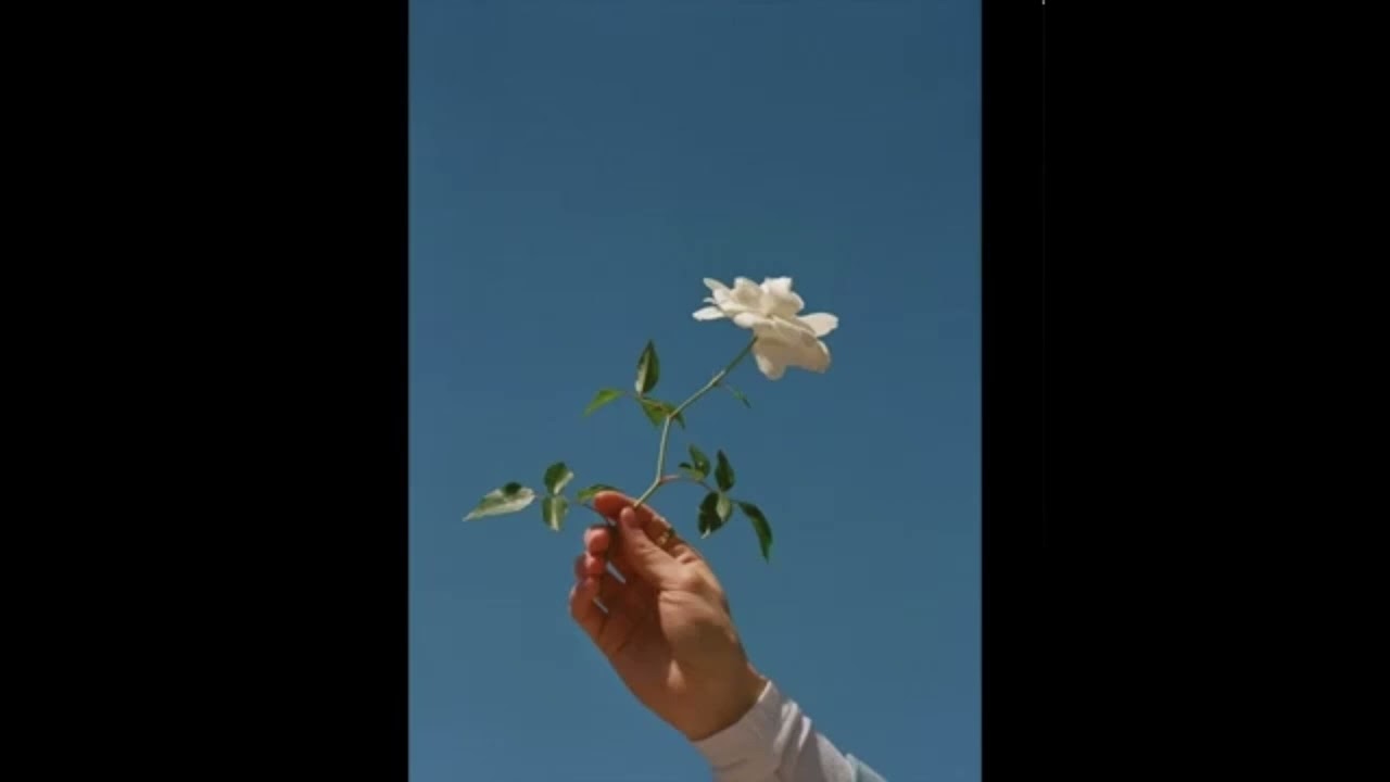 Balance Cooper - BLOOMING