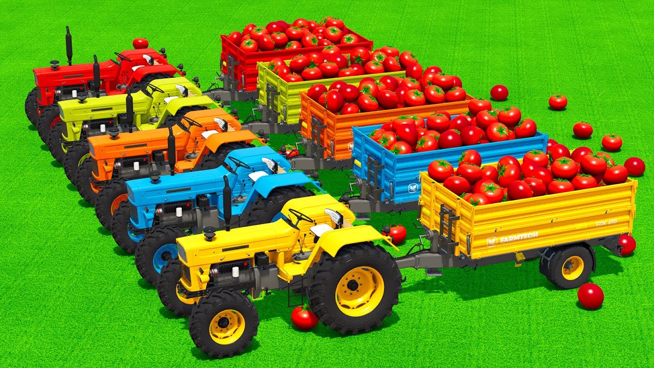 LOAD AND TRANSPORT TOMATOES WITH UTB TRACTORS & CLAAS LOADERS - Farming Simulator 25