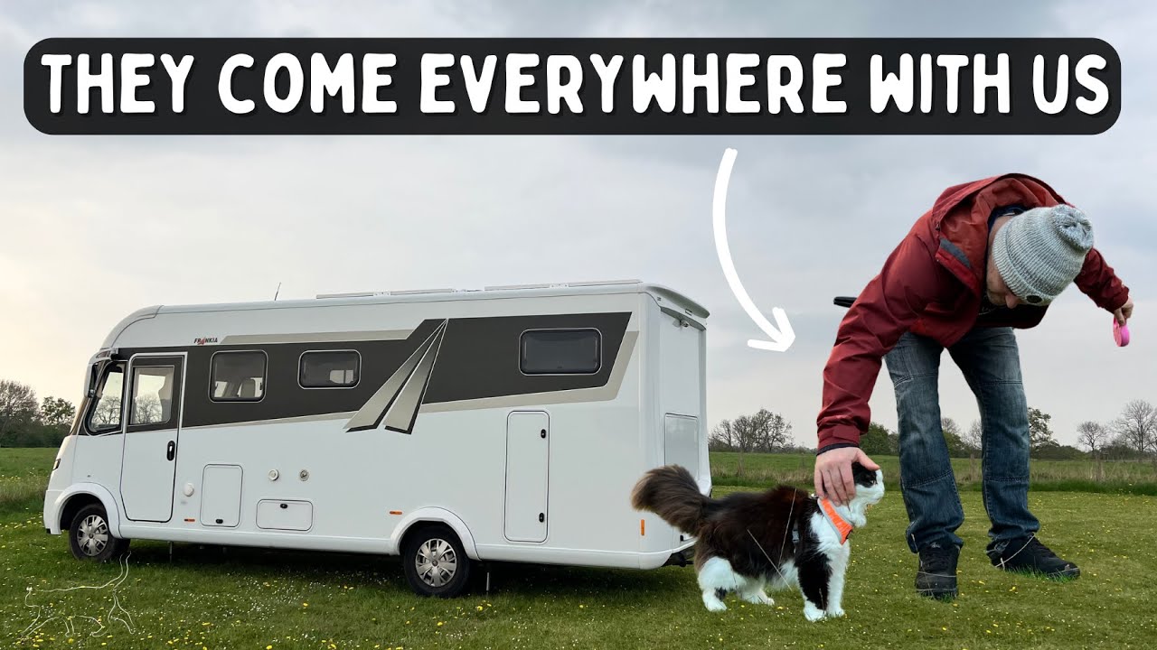 How we travel full-time in a motorhome with senior rescue cats