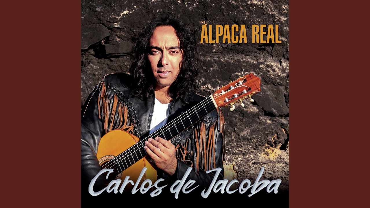 Alpaca Real