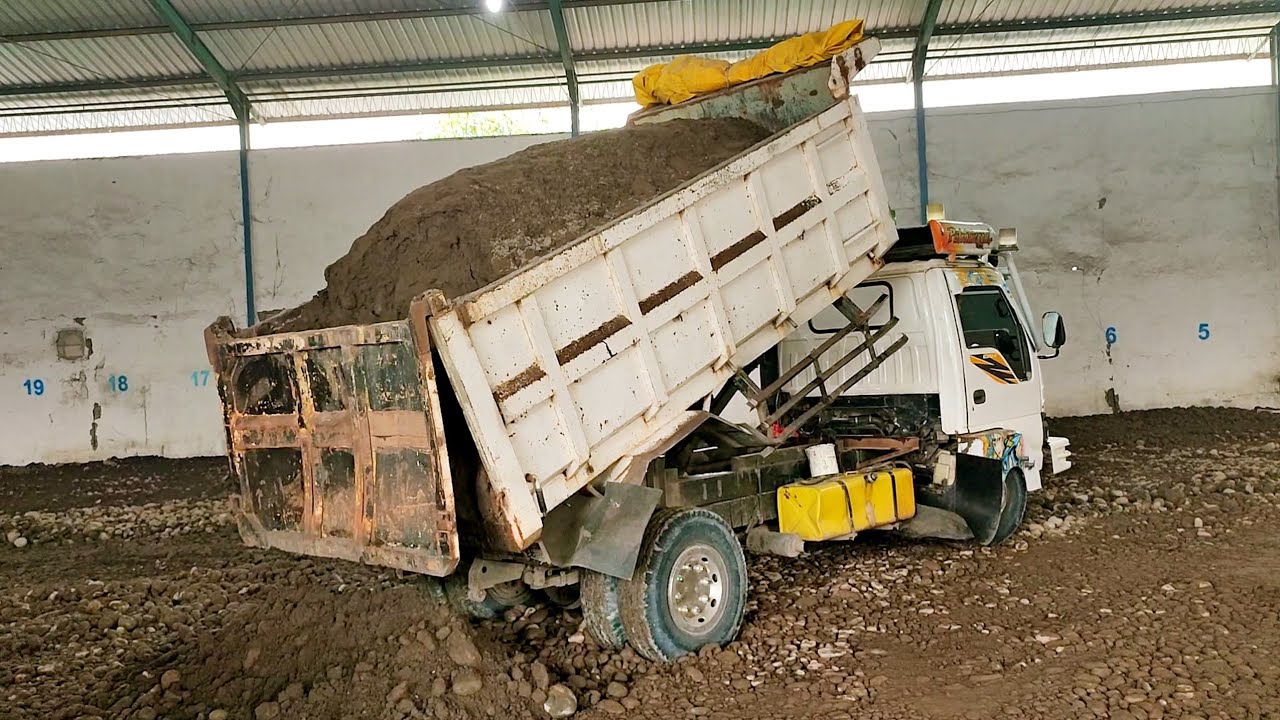 Dump Truk//Mobil Truk ISUZU ELF JOMPLANG Muatan Pasir Super Full Bak di Proyek Gudang 