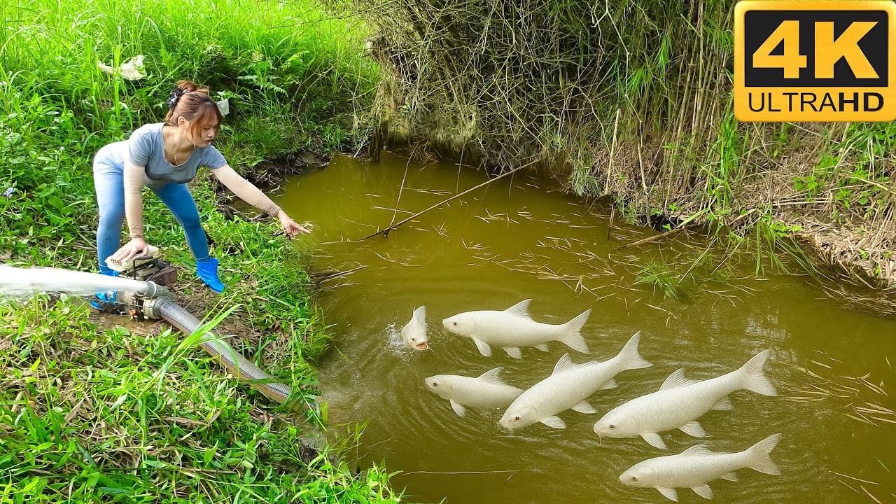 Menina pescando em rio selvagem com rede feita à mão – Vídeo 4K incrível! | Emily da Pesca