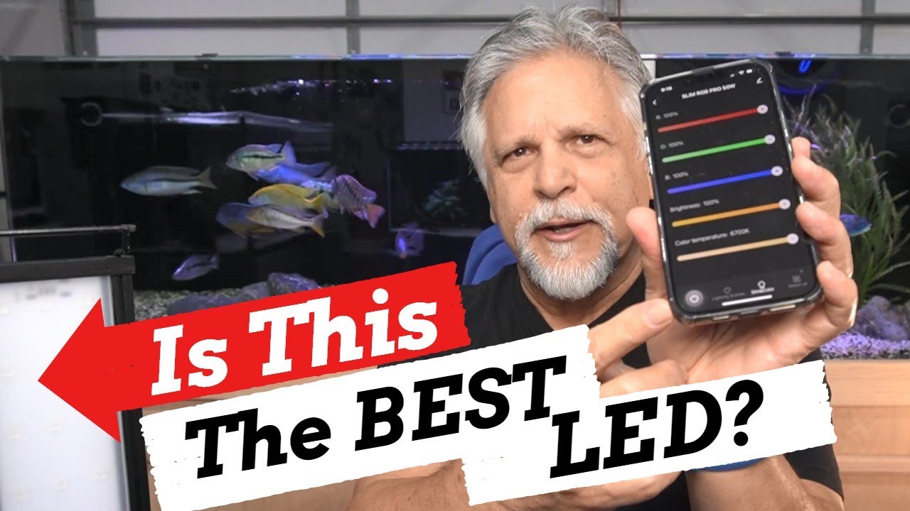 $300 FEATURE PACKED Aquarium LED for Under $100 *It Gets 4.5 Stars*