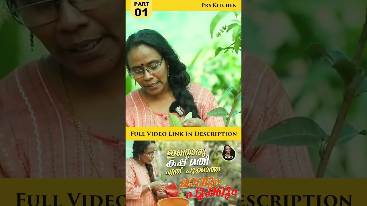 ഇതൊരു കപ്പ് മതി : Part 01 | PRS KITCHEN | FERTILIZATION TIPS FOR MANGO TREES #shorts #farming