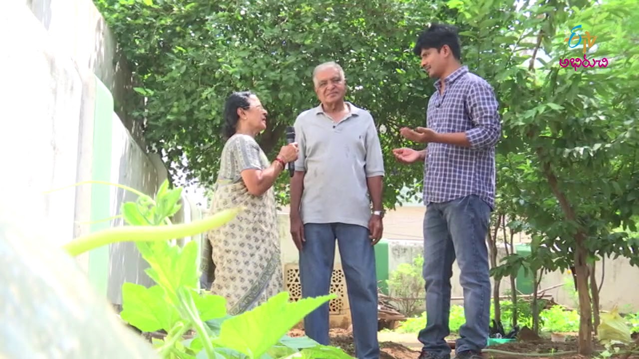 Kitchen Gardening | Perati Ruchulu | 2nd November 2017 | Full Episode | ETV Abhiruchi