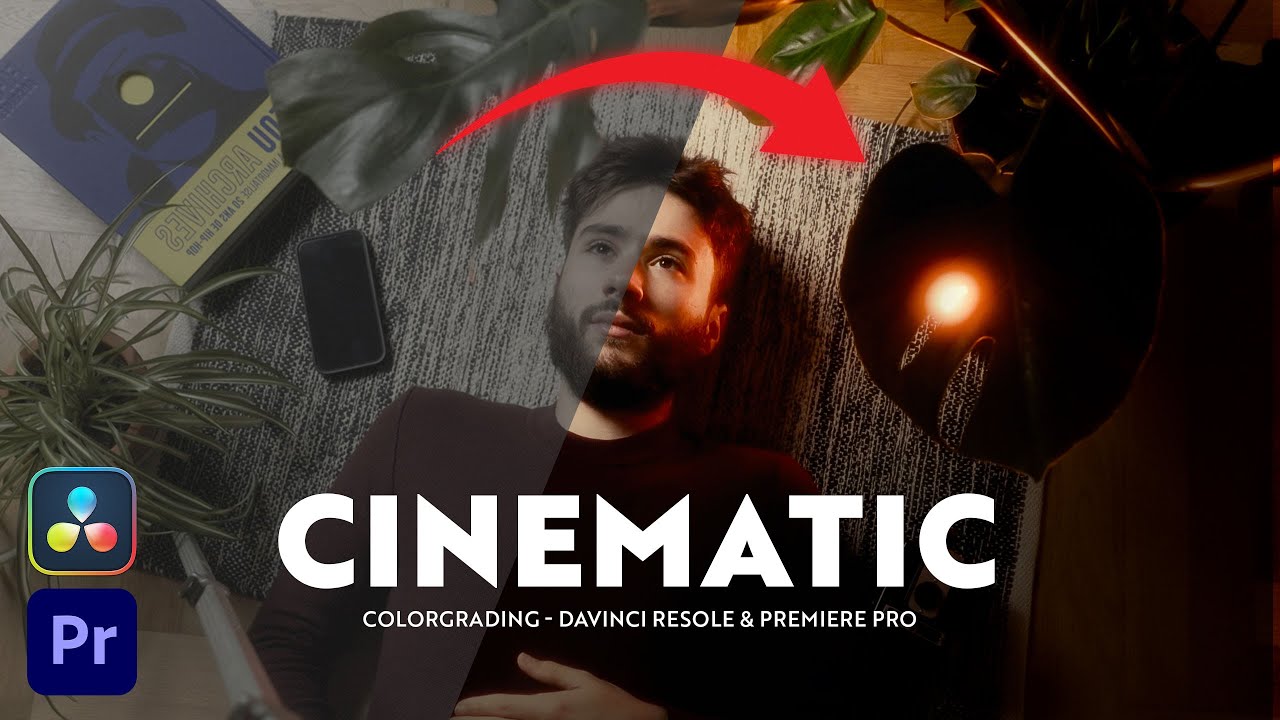 Colorgrading avec Dehancer sur Davinci et Première Pro