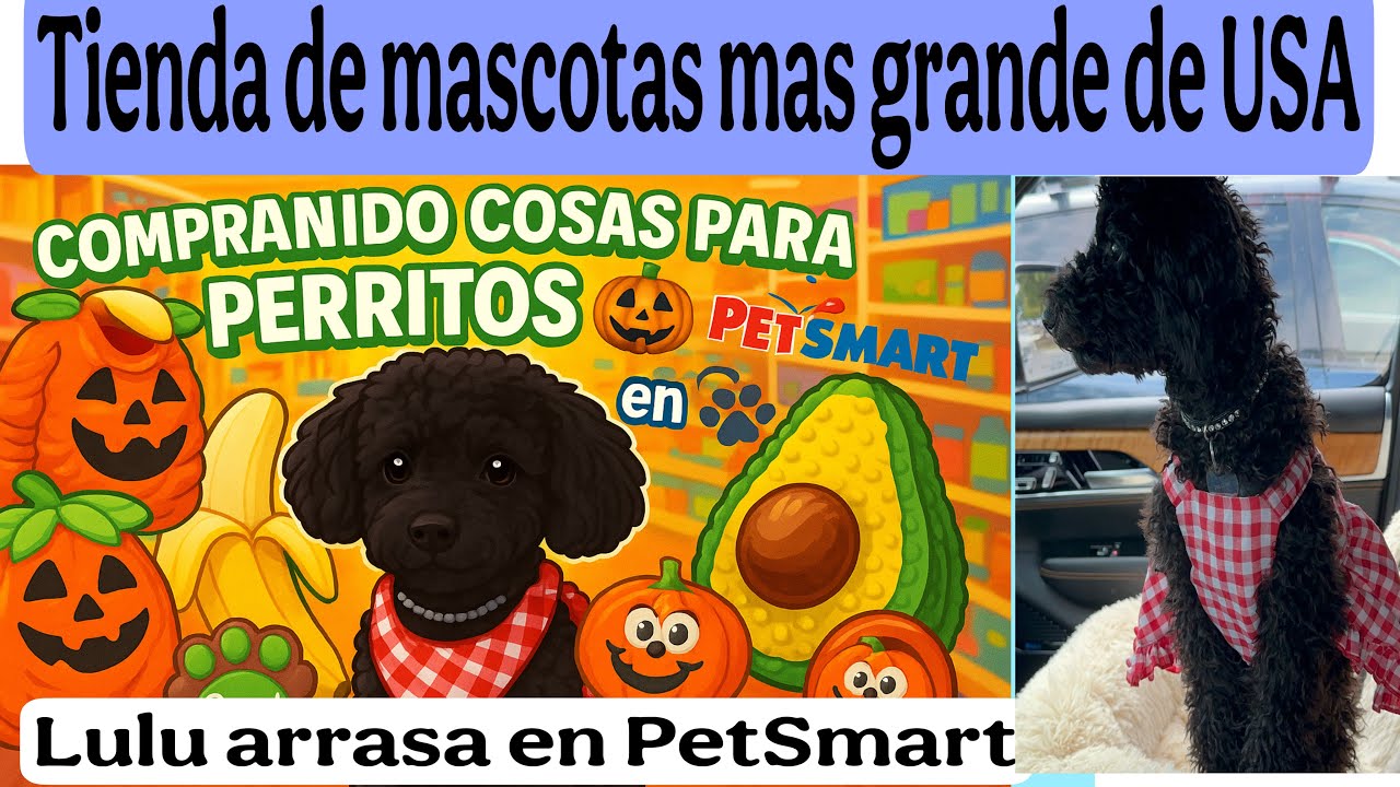 🎃🐾 ¡Mira lo que encontramos en PetSmart para Lulu! 👻 Disfraces y cositas irresistibles para perritos