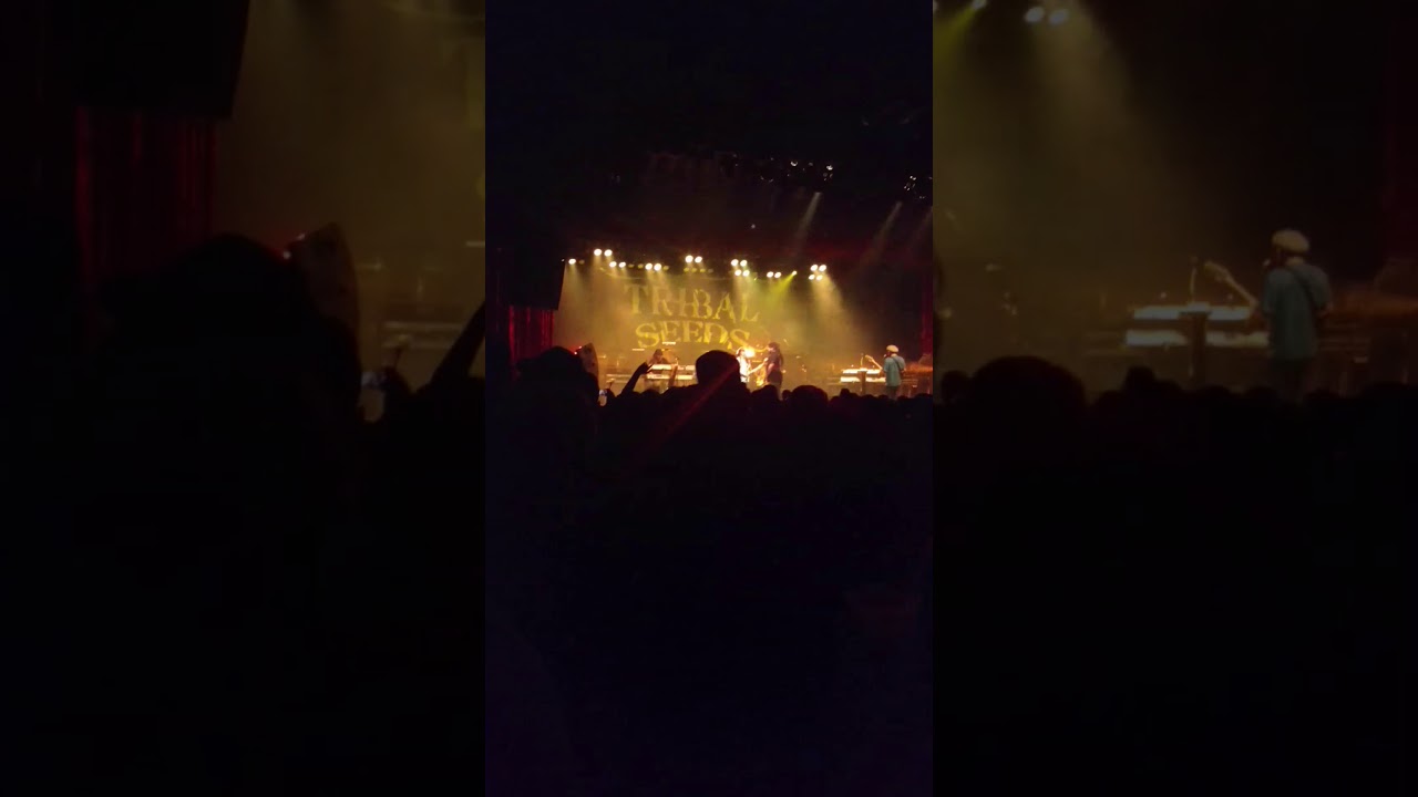 Tribal seeds , the Marquee phx, Iriezona