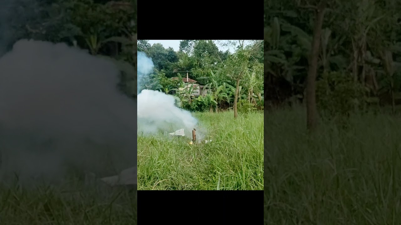 sugar rocket malayalam