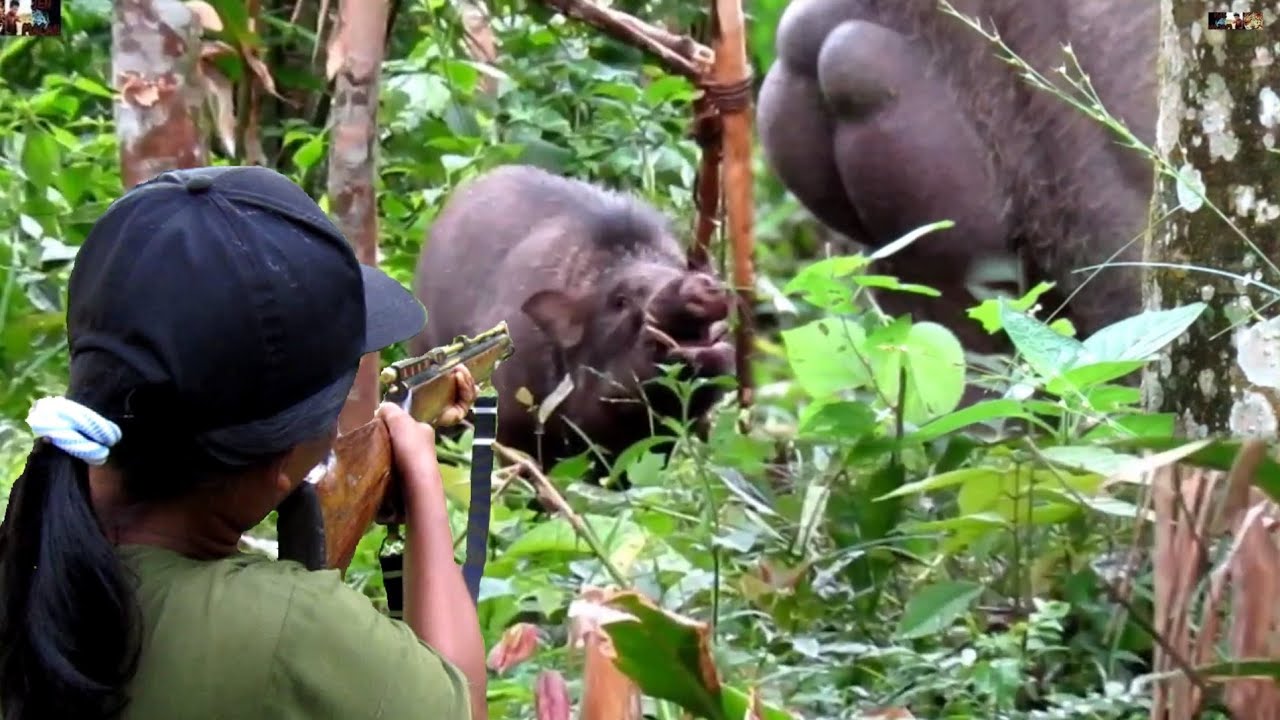 GILA‼️TOP WILD BOAR HUTERS BABI MOSTER ATTACKS BUAH DURIAN NYA DI SEDOT SAMPAI PECAH