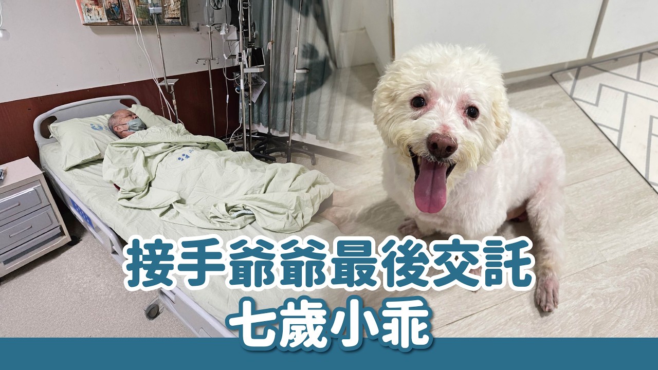 接手爺爺最後交託-七歲的小乖｜頻道會員救援計畫