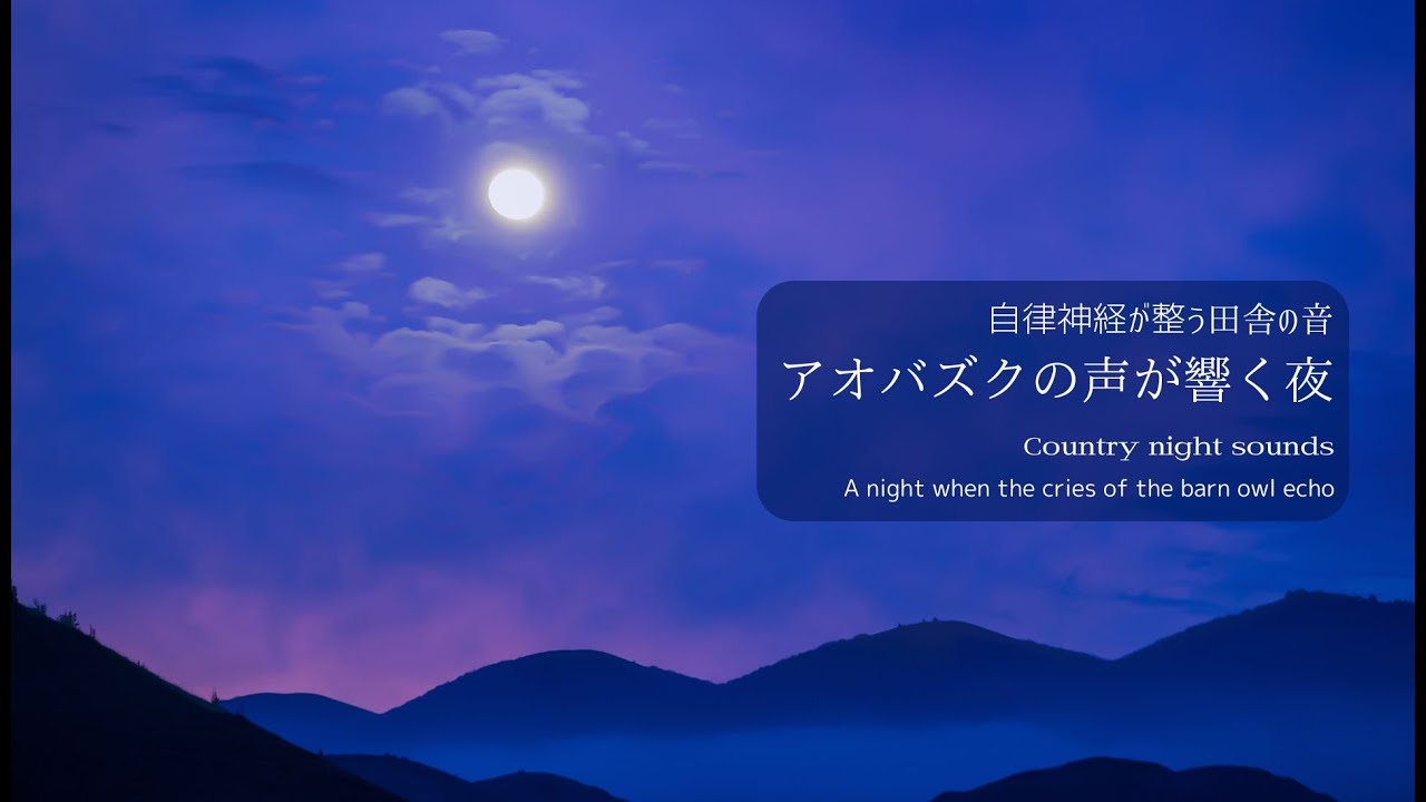 【自律神経が整う自然の音】アオバズクの声とカエルの合唱が響く田舎の夜∶2時間　#安眠bgm #自然の音