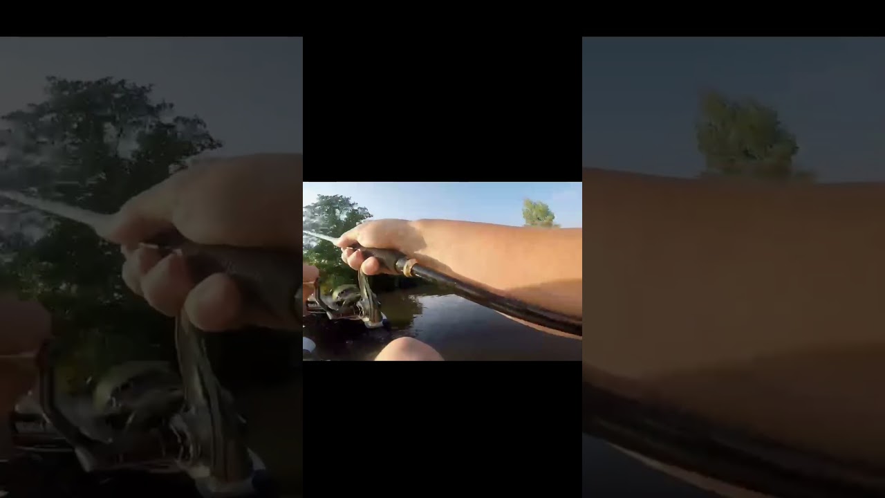 🎣 На день, проведенный на рыбалке-надо смотреть, как на маленькую жизнь🎣#спиннинг #рыбалка #джиг