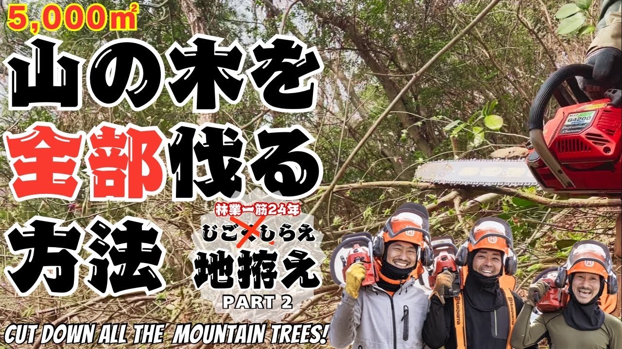 【過酷】チェーンソー1本で山を伐る｜地拵え3日間の奮闘（3〜5日目）【Extreme Work】Clearing a Mountain with Only a Chainsaw