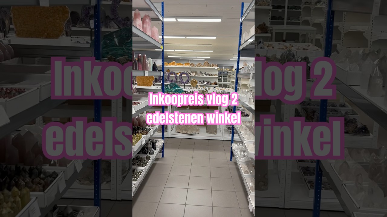 Inkoopreis vlog 2! #edelstenen #kristallen #fossielen #dagvlog #lemmer #friesland #reisvlog #reizen