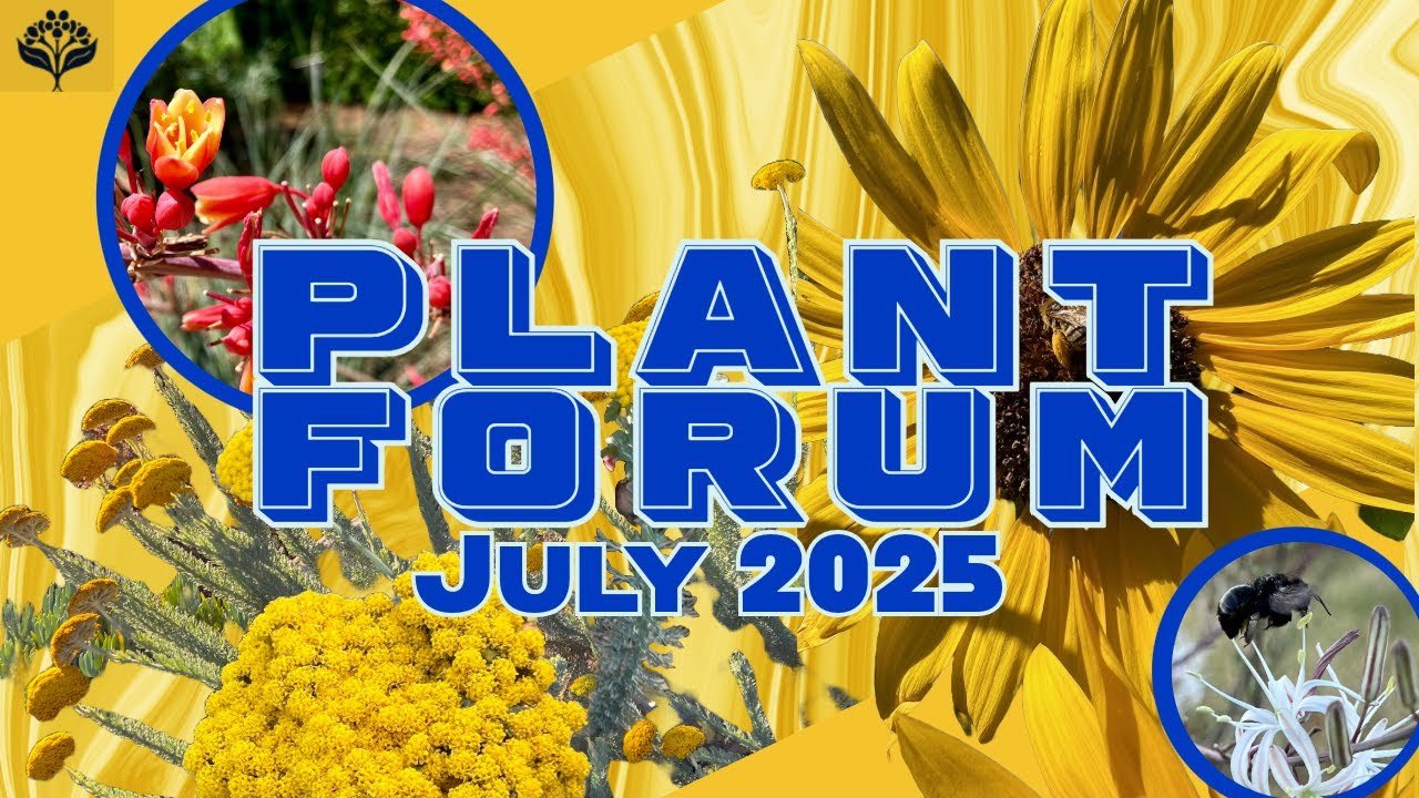 July 2025 Plant Forum - Southern California Horticultural Society