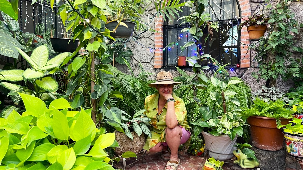Un TOUR... Así se le saca el beneficio a estas plantas