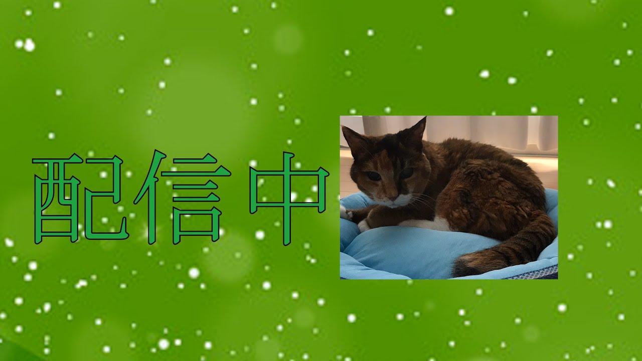 最近やってなかったからリハビリ配信
