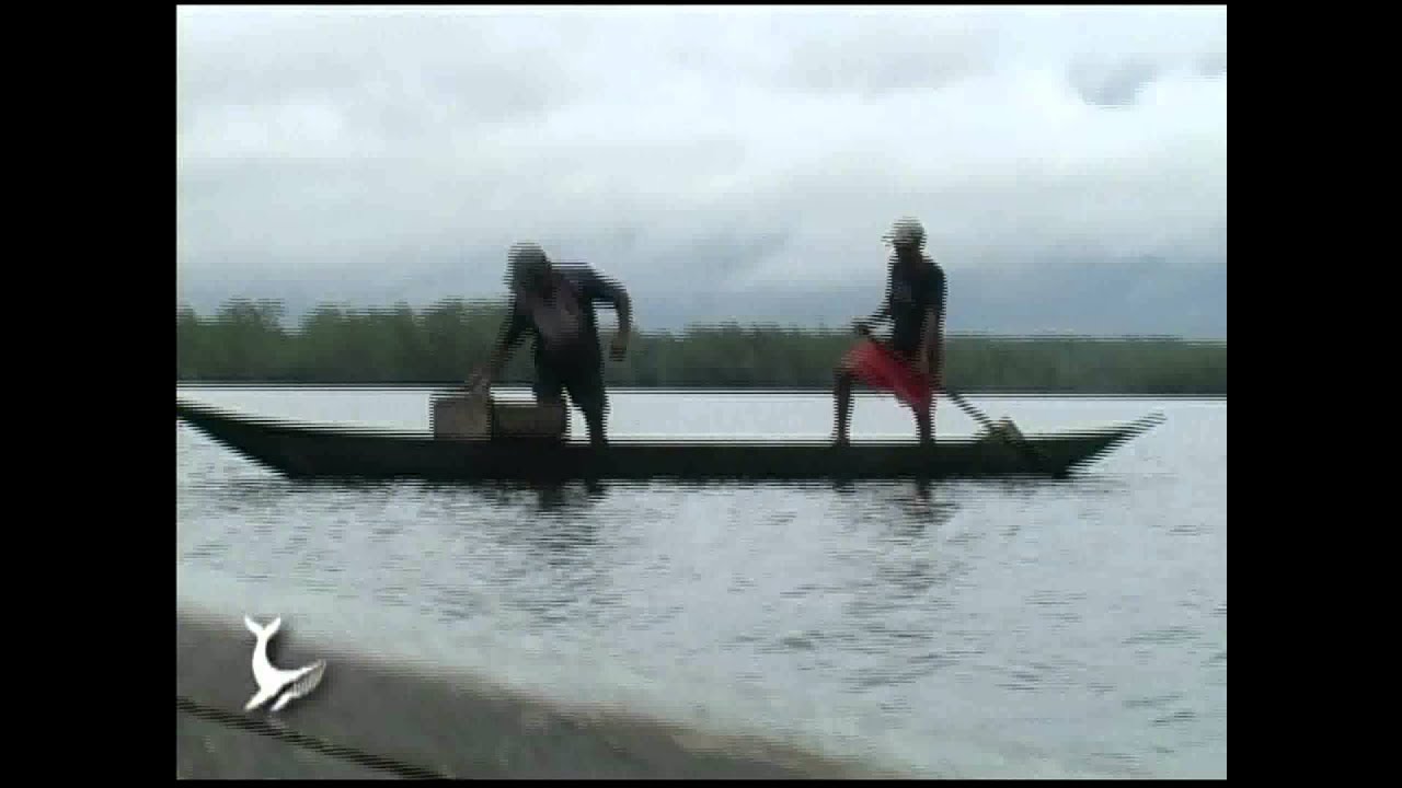 (AMBIENTE PACIFICO) FAENA DE PESCADORES