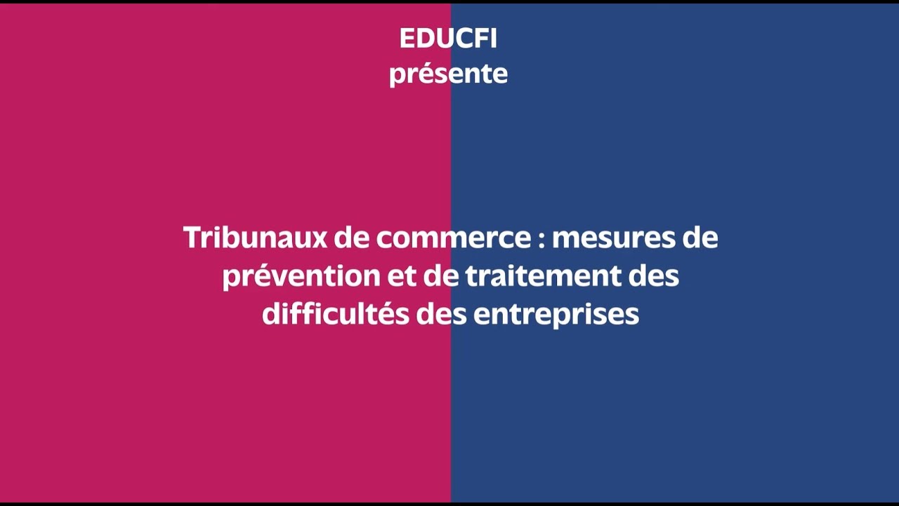 Tribunaux de commerce :  pr&eacute;vention et traitement des difficult&eacute;s des entreprises expliqu&eacute;s en 3 min